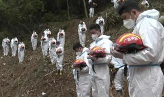 321东航坠机事件