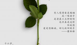 情人节文案发朋友圈