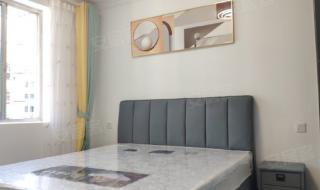 一室一厅出租500元 一室一厅出租500元