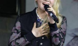 中国好声音张磊