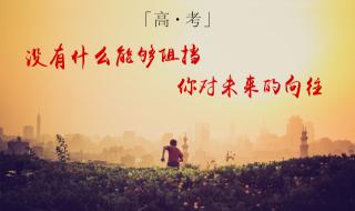 不负韶华上一句是什么 不负韶华上一句是什么