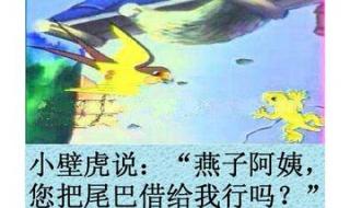 小壁虎借尾巴 小壁虎借尾巴