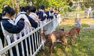 浙江省衢州第一中学