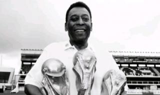 巴西世界杯预选赛2023 巴西世界杯预选赛2023